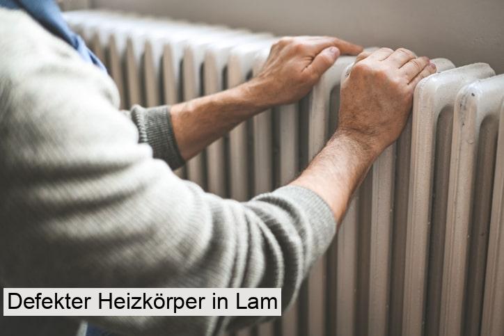 Defekter Heizkörper in Lam